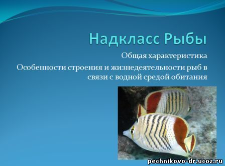 презентация по биологии рыбы