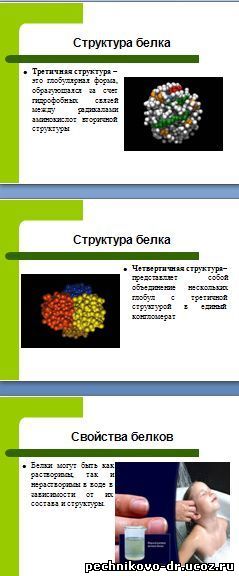 презентация по биологии белки